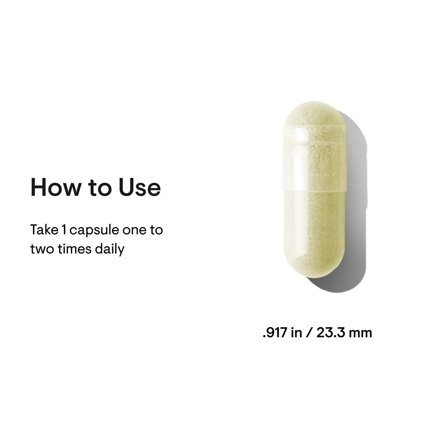 Broccoli Seed Extract